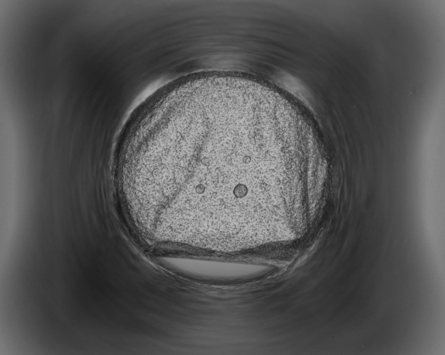 X0000084551071200703231731