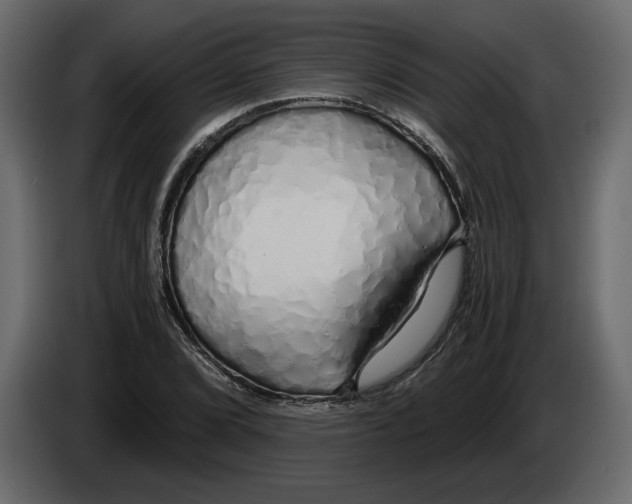 X0000084551072200703231731