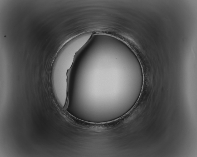 X0000084551073200703231731