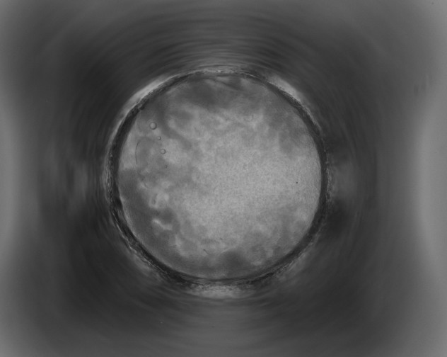 X0000084551074200703231731