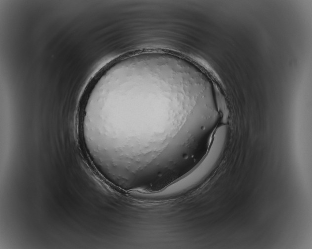 X0000084551076200703231731