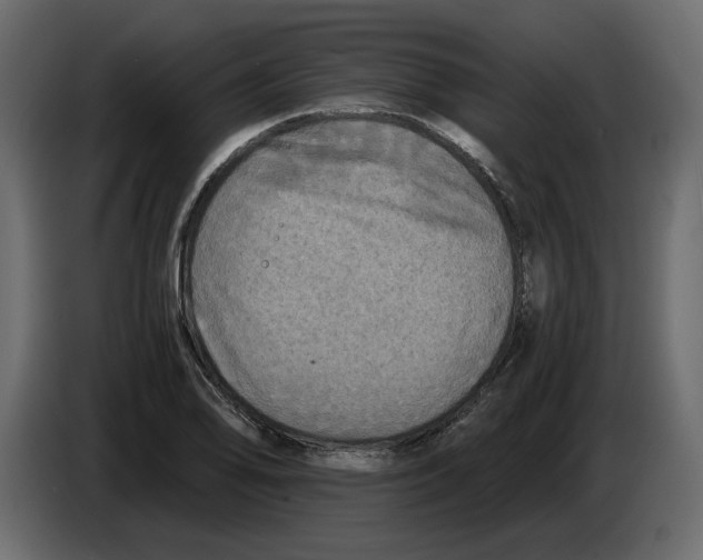 X0000084551078200703231731