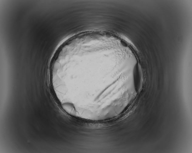 X0000084551079200703231731