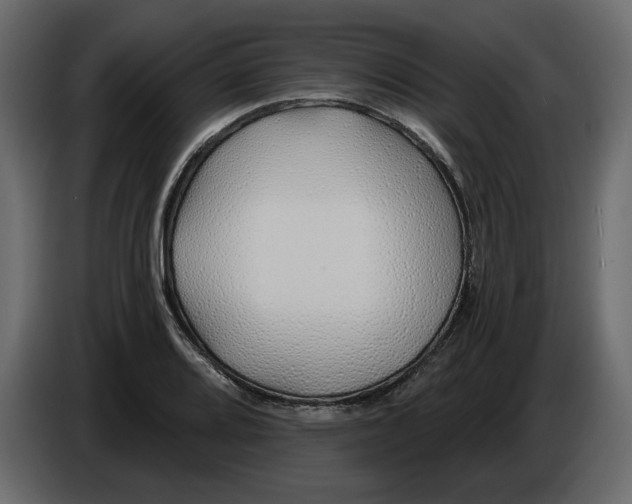 X0000084551080200703231731