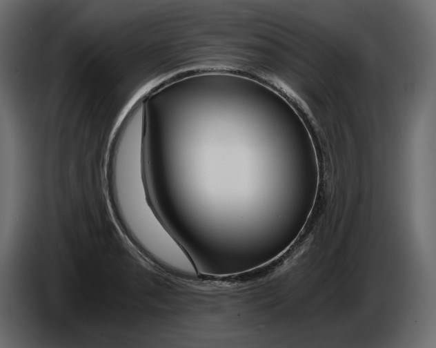 X0000084551085200703231731