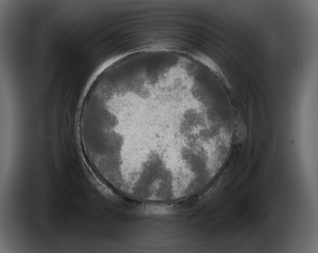 X0000084551086200703231731