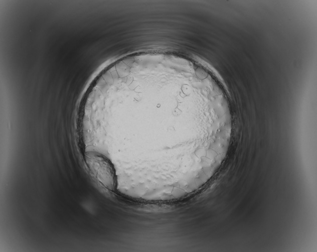 X0000084551091200703231731