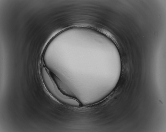 X0000084551092200703231731