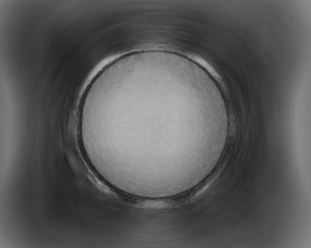 X0000084551094200703231731