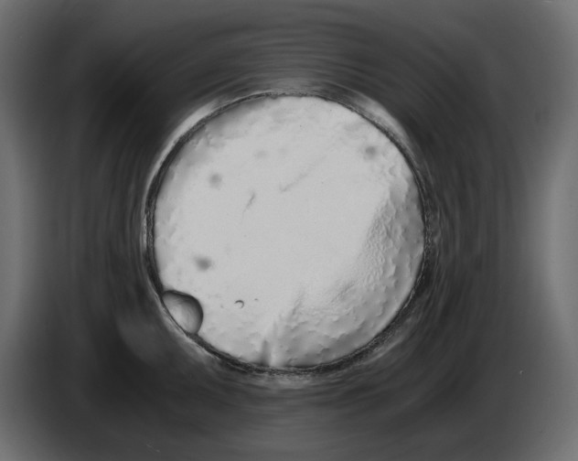 X0000084551095200703231731