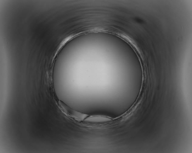 X0000084551097200703231731