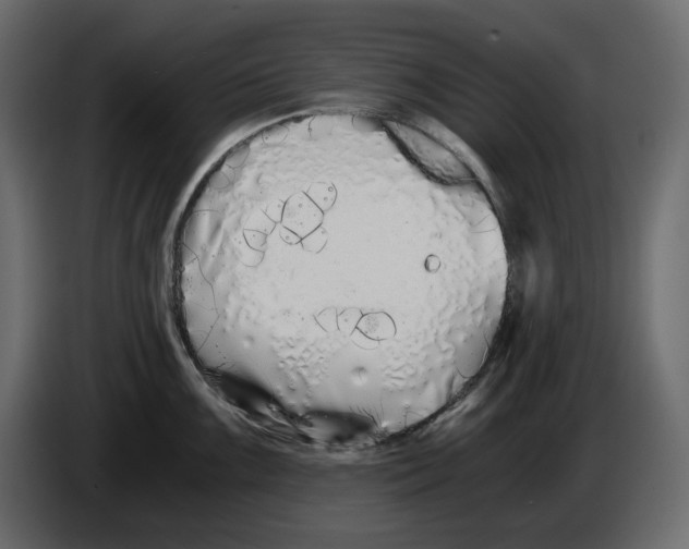 X0000084551099200703231731