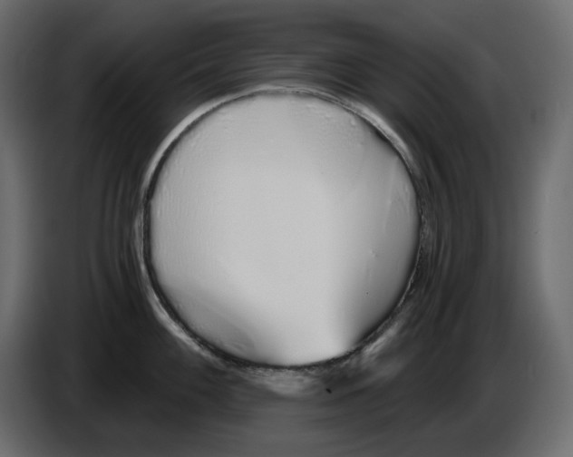 X0000084551100200703231731