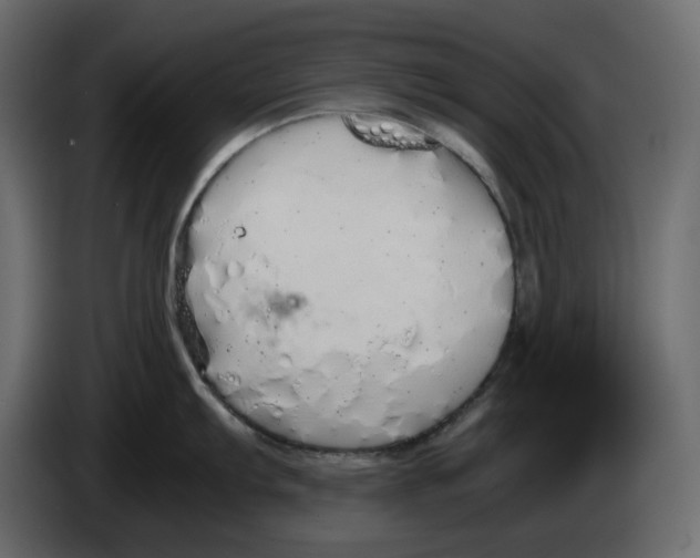 X0000084551103200703231731