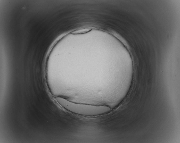 X0000084551104200703231731