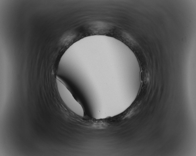 X0000084551108200703231730