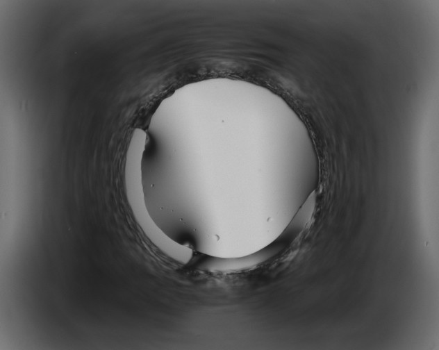 X0000084551109200703231730