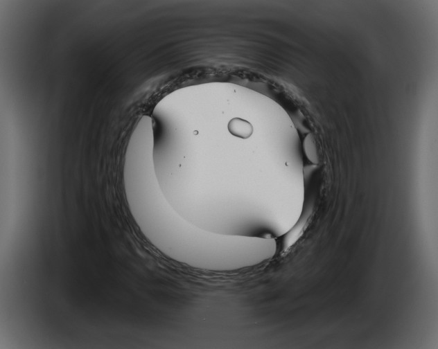 X0000084551110200703231730