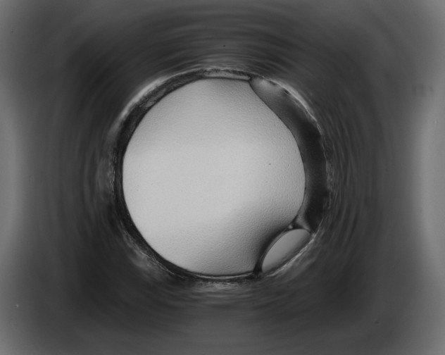 X0000084551115200703231730