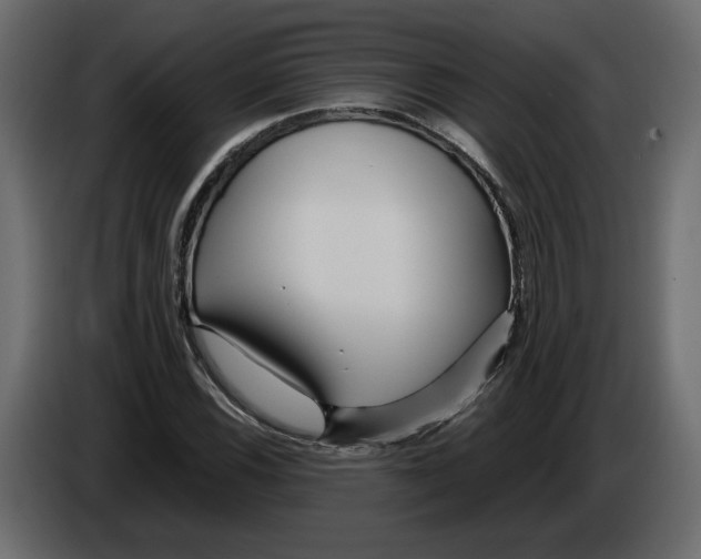 X0000084551116200703231730