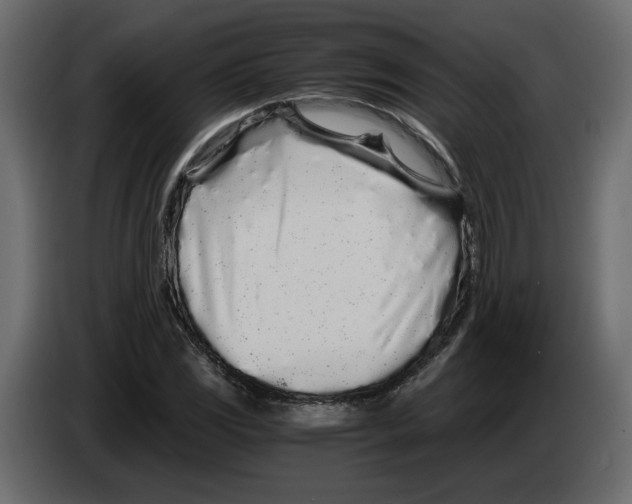 X0000084551117200703231730