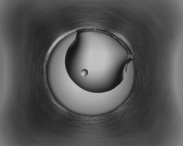 X0000084551120200703231730