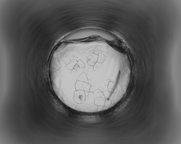 X0000084551121200703231730