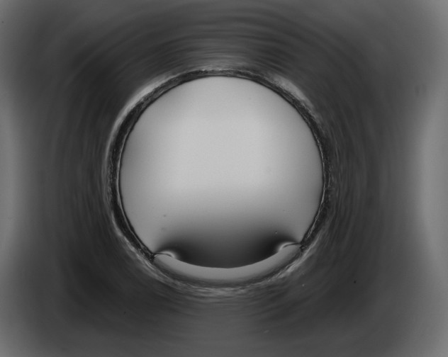 X0000084551122200703231730