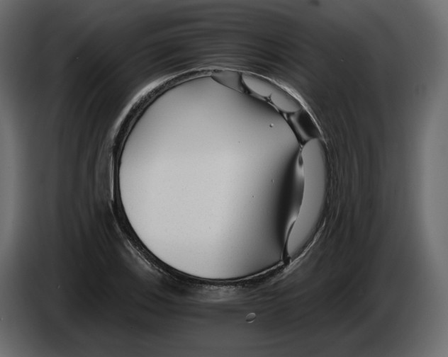 X0000084551123200703231730