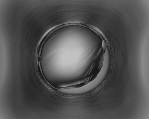 X0000084551124200703231730