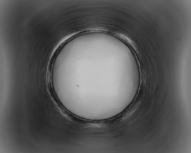 X0000084551125200703231730