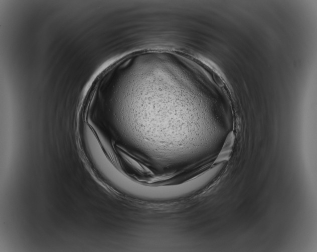 X0000084551128200703231730