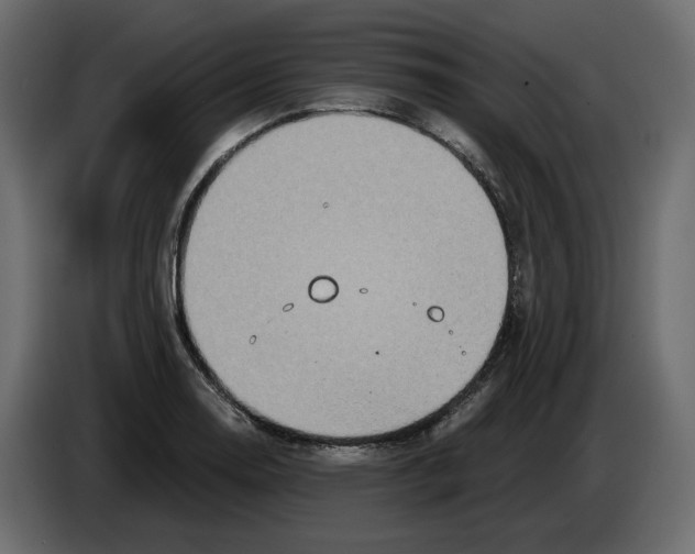 X0000084551130200703231730