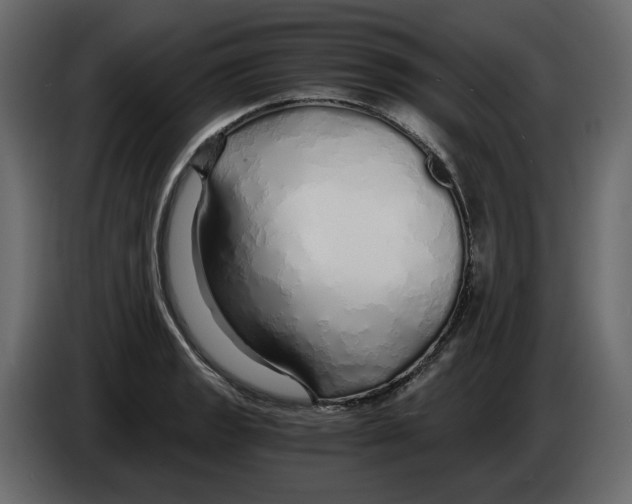 X0000084551133200703231730