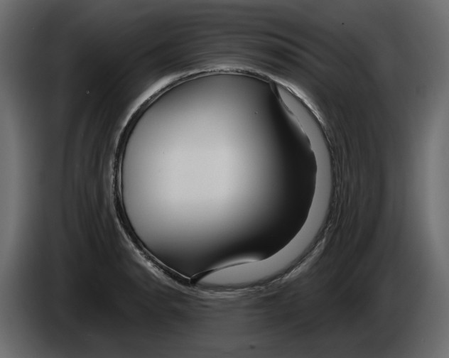 X0000084551134200703231730