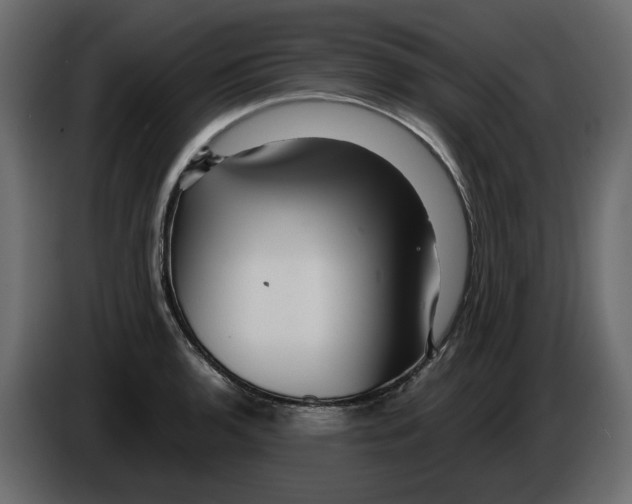 X0000084551136200703231730