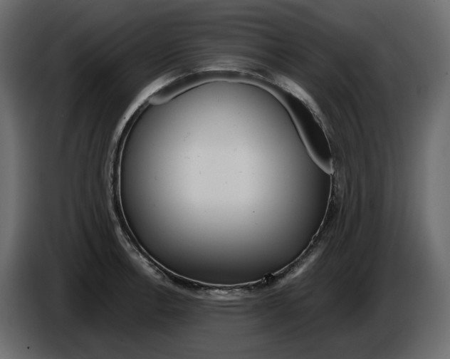 X0000084551138200703231730