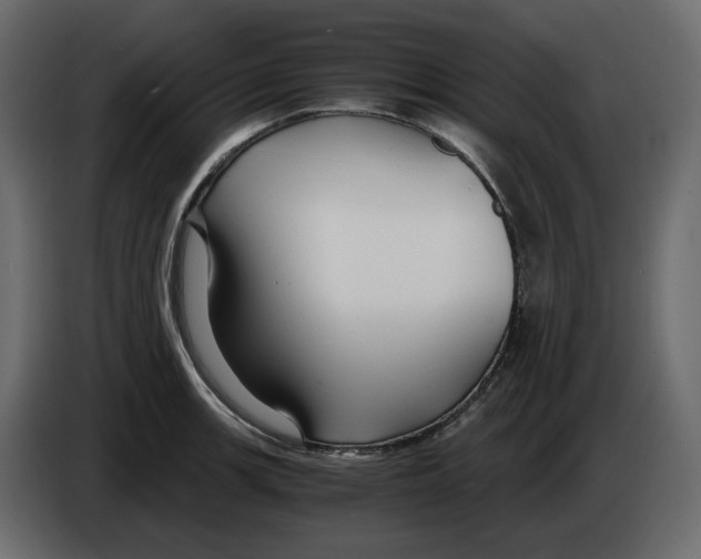 X0000084551139200703231731