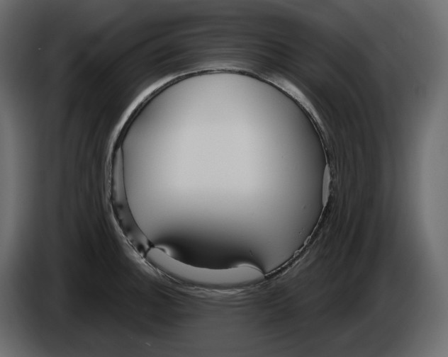 X0000084551140200703231731