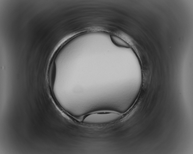 X0000084551141200703231731