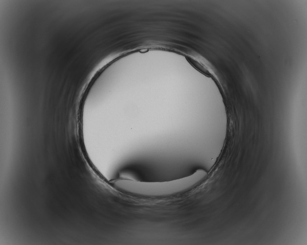 X0000084551143200703231731