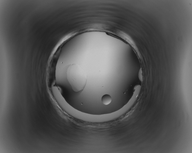 X0000084551146200703231731