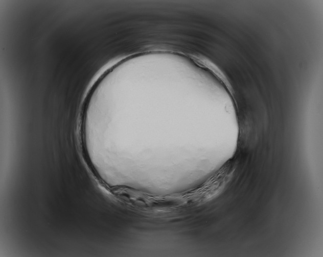 X0000084551149200703231731