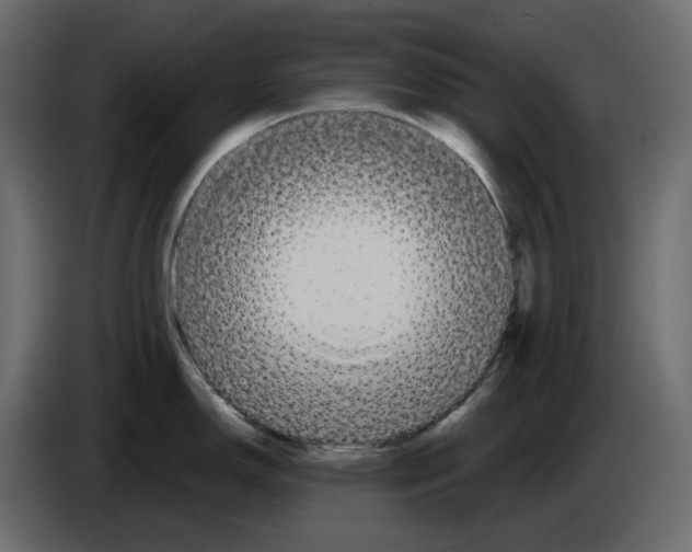 X0000084551150200703231731