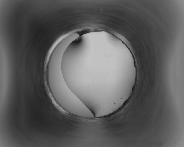 X0000084551152200703231731