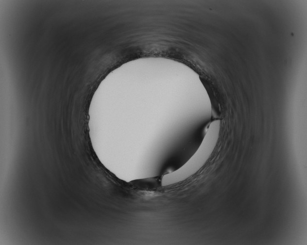 X0000084551153200703231730