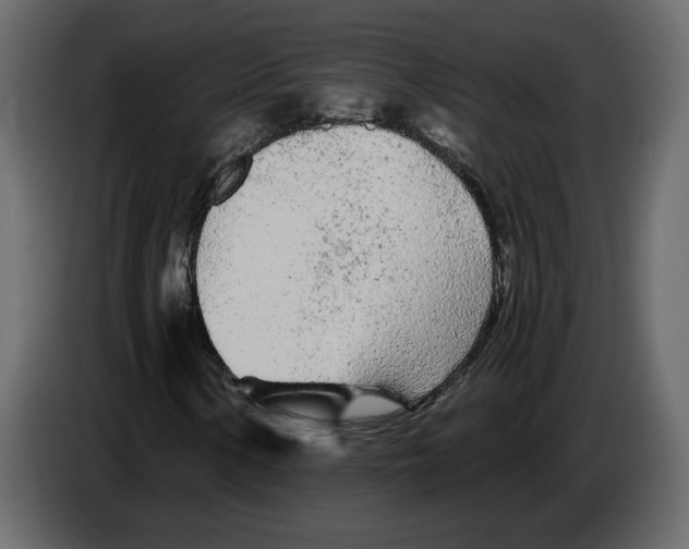 X0000084551154200703231730