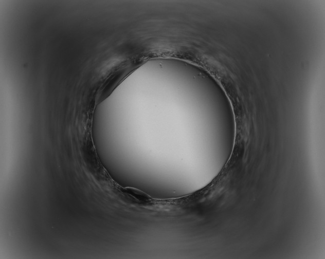 X0000084551157200703231730