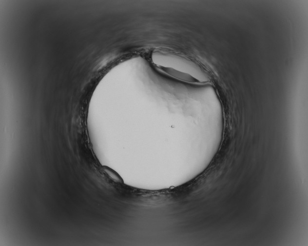 X0000084551159200703231730