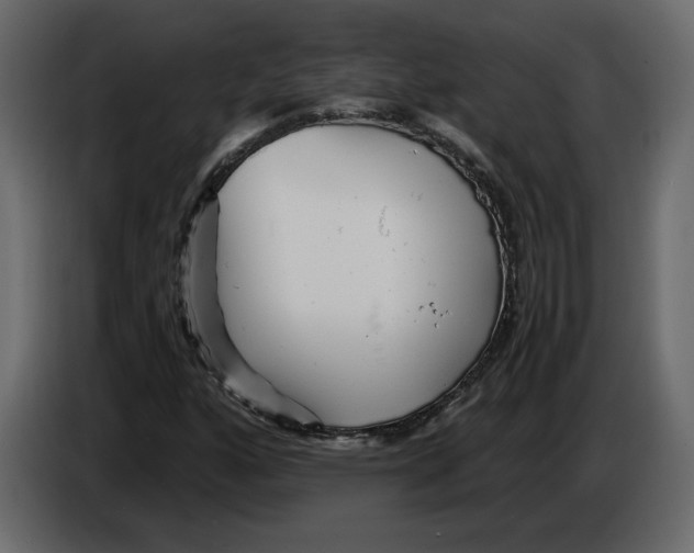 X0000084551160200703231730